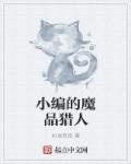 小说：小编的魔晶猎人，作者：如果是我