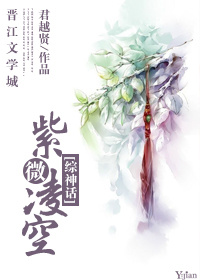 小说：紫微凌空[综神话]，作者：君越贤