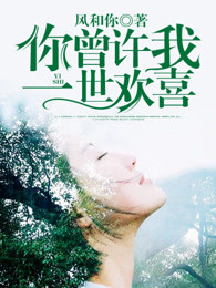 小说：你曾许我一世欢喜，作者：风和你