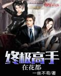 小说：终极高手在花都，作者：一丝不苟