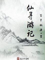 小说：仙寻游记，作者：百里桃源