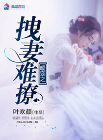 小说：暖宠之拽妻难撩，作者：叶欢颜
