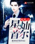 小说：韩娱之星灿首尔，作者：裸身的苹果