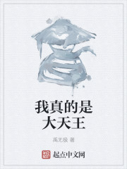 小说：我真的是大天王，作者：禹无极