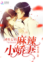 小说：那年与你共芳华，作者：杜长瑾