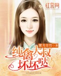 小说：纯禽大叔坏坏哒，作者：紫月青竹