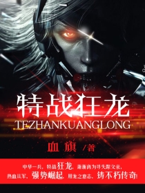小说：特战狂龙，作者：血旗