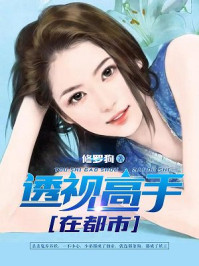 小说：透视高手在都市，作者：修罗狗