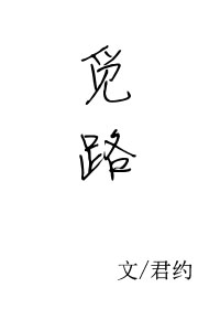 小说：觅路，作者：君约