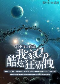 小说：我家cp酷炫狂霸拽，作者：羽小飞
