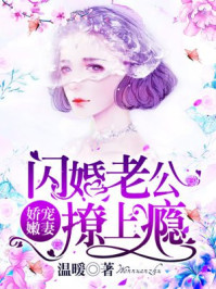 小说：娇宠嫩妻：闪婚老公撩上瘾，作者：温暖