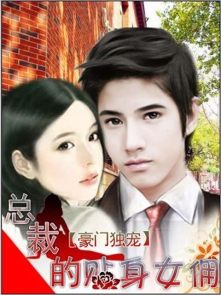 小说：豪门独宠：总裁的贴身女佣，作者：夕婷