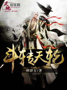 小说：斗转天轮，作者：一醉肆方