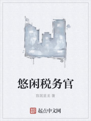小说：悠闲税务官，作者：我就是龙