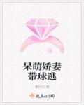 小说：呆萌娇妻带球逃，作者：慕梓凡