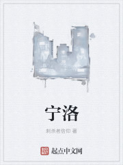 小说：宁洛，作者：刺杀者信仰