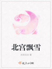 小说：北宫飘雪，作者：沫沫洁洁