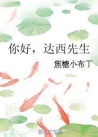 小说：你好，达西先生，作者：焦糖小布丁