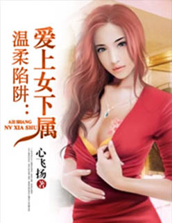 小说：温柔陷阱：爱上女下属，作者：心飞扬
