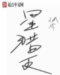 小说：星猎王，作者：贼秀