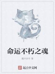 小说：命运不朽之魂，作者：魔术抹布