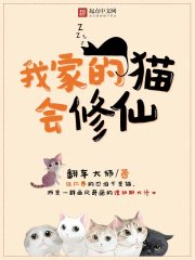 小说：我家的猫会修仙，作者：翻车大师