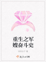 小说：重生之军嫂奋斗史，作者：苏四公子