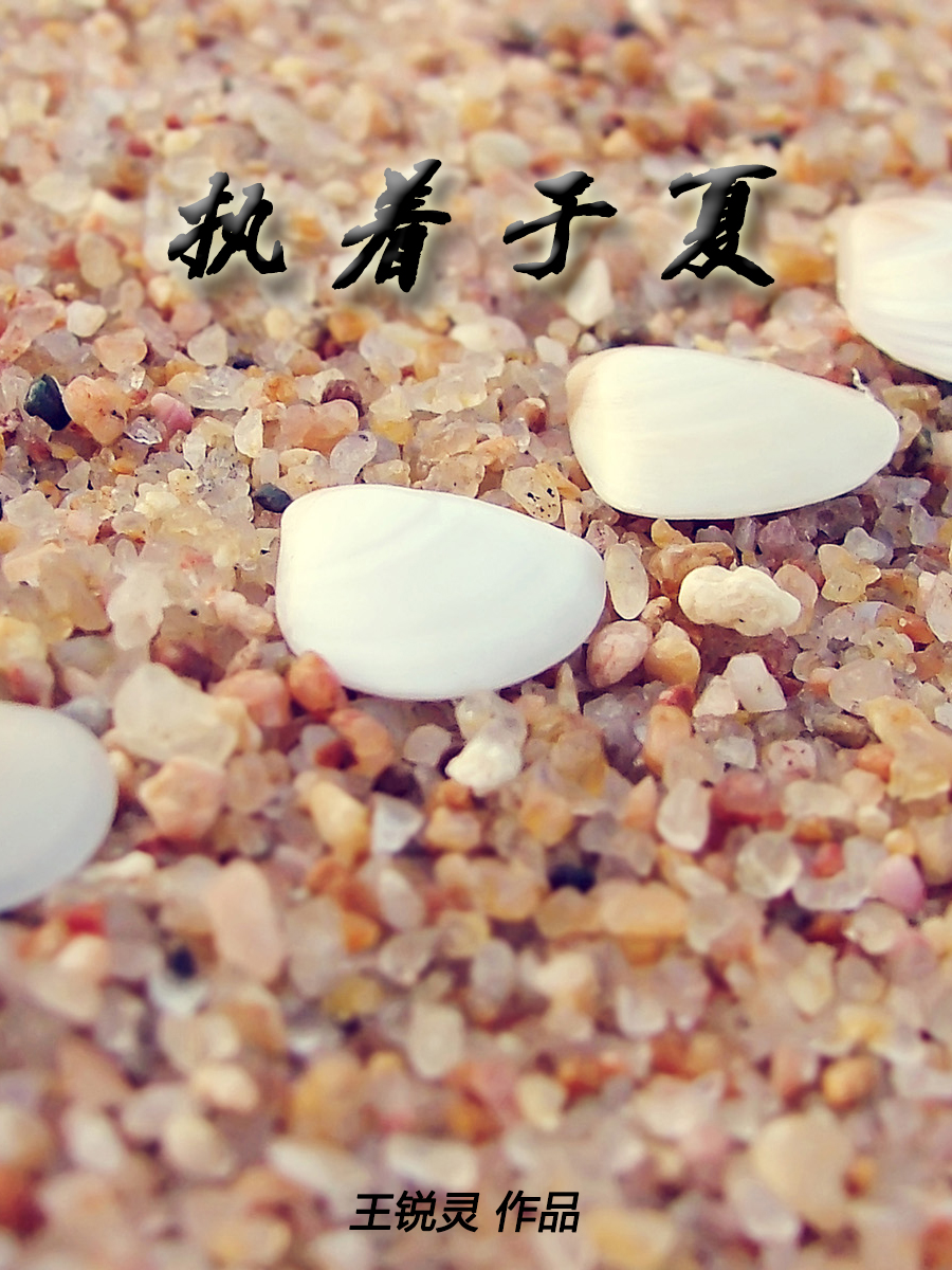 小说：执着于夏，作者：阿难