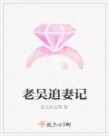小说：老吴追妻记，作者：非公开记事