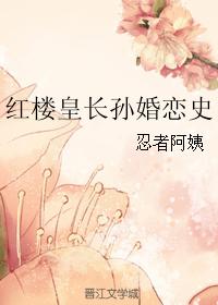 小说：红楼皇长孙婚恋史，作者：忍者阿姨