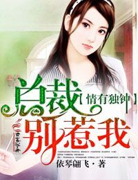 小说：情有独钟，总裁别惹我，作者：依琴翩飞