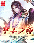 小说：圣手之尊，作者：刀锋间影