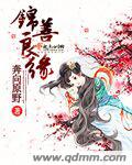 小说：锦善良缘，作者：奔向原野