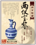 小说：两仪宝鉴，作者：缺少按键