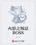 小说：火影之叛忍BOSS，作者：端砚