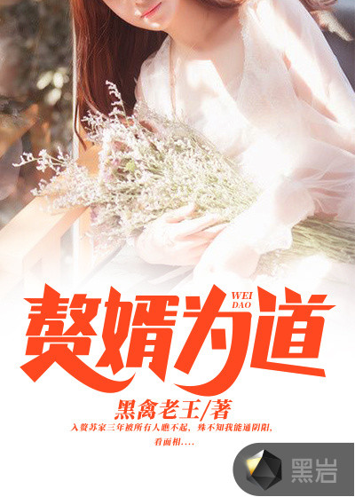 小说：赘婿为道，作者：黑禽老王