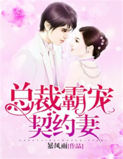 小说：总裁霸宠契约妻，作者：暴风雨