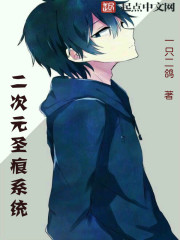 小说：二次元圣痕系统，作者：一只二鸽