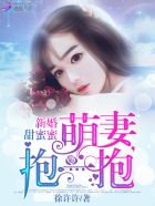 小说：新婚甜蜜蜜：萌妻，抱一抱，作者：徐许许