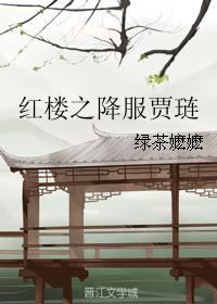 小说：红楼之降服贾琏，作者：绿茶嬷嬷