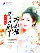 小说：逆天仙妃：太子殿下太凶猛，作者：翼灵韵