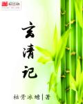 小说：玄清记，作者：枯骨冰蟾