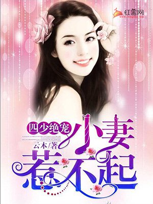 小说：四少绝宠：小妻惹不起，作者：云木