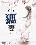 小说：小狐妻，作者：佛佛