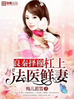 小说：良秦择穆：杠上法医鲜妻，作者：梅儿若雪