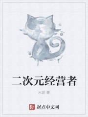 小说：二次元经营者，作者：木淤