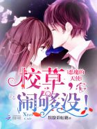 恶魔的天使:校草,闹够没!