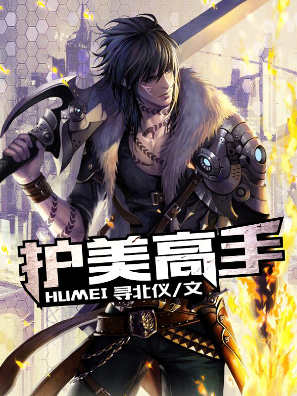 小说：护美高手，作者：寻北仪