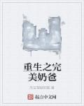 小说：重生之完美奶爸，作者：无证驾驶的猫