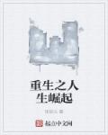 小说：重生之人生崛起，作者：铭初心
